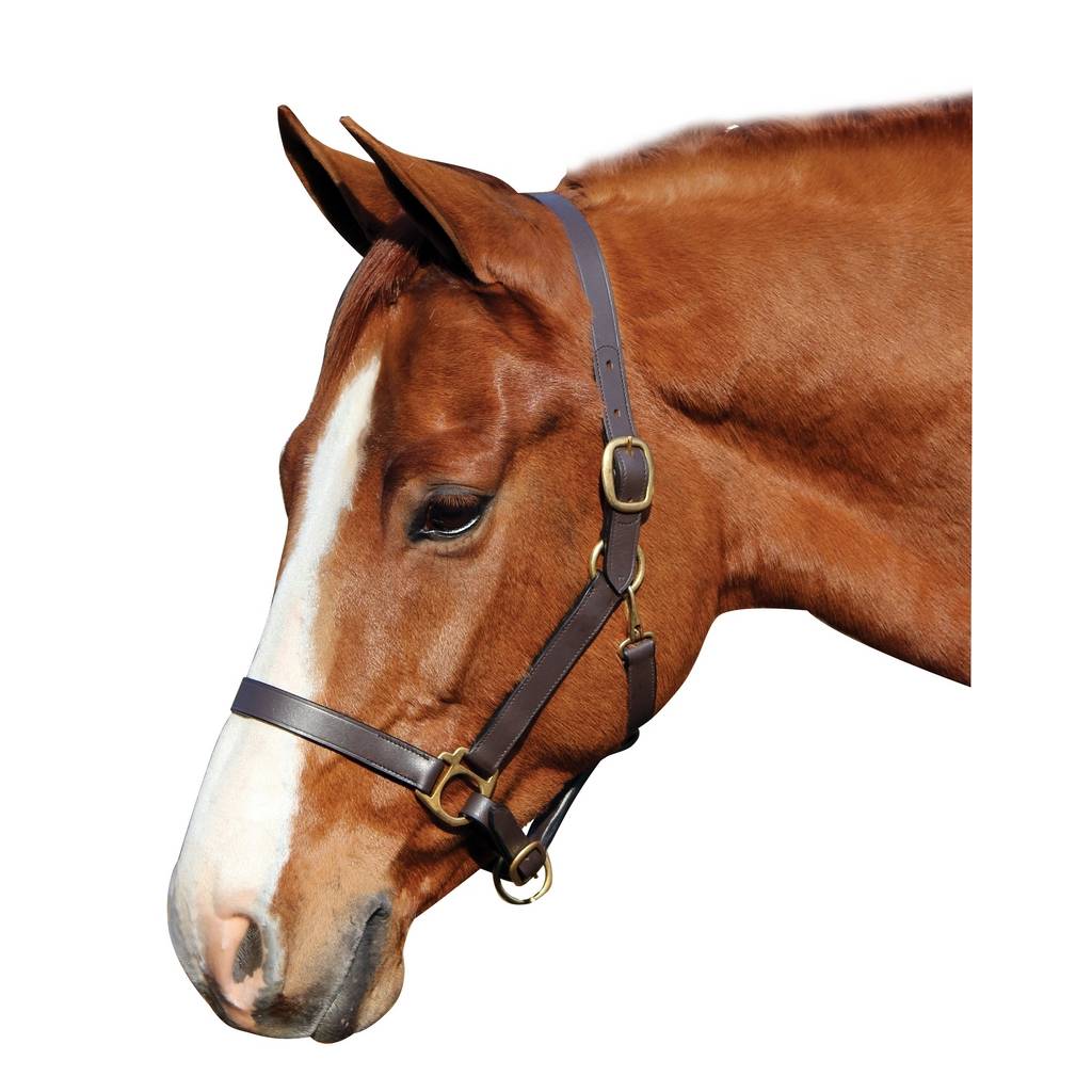 Henri De Rivel Advantage Leather Halter