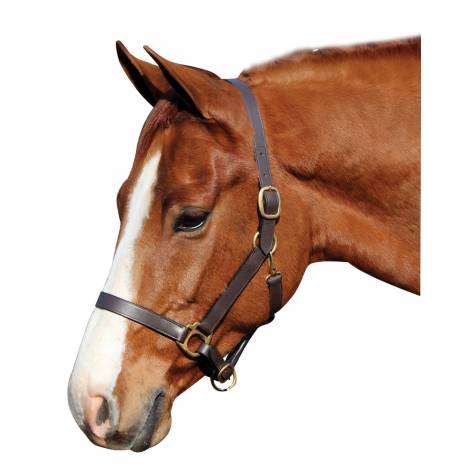 Henri De Rivel Advantage Leather Halter