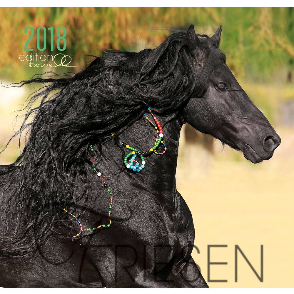 5-939123 Gabriele Boiselle Art Calendar Boiselle Friesians  sku 5-939123