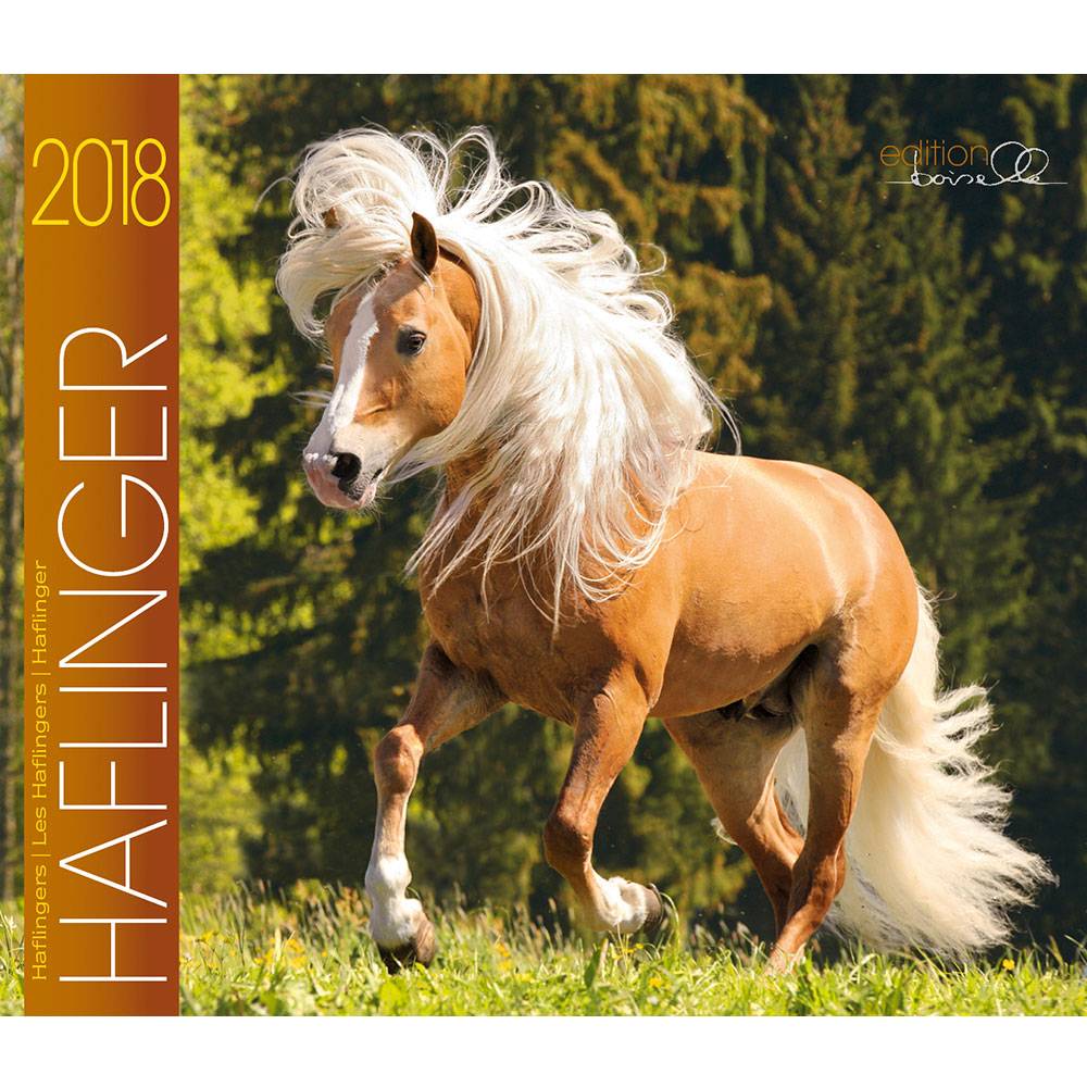 Gabriele Boiselle Mid Sized Calendar Boiselle Halflinger - 2018