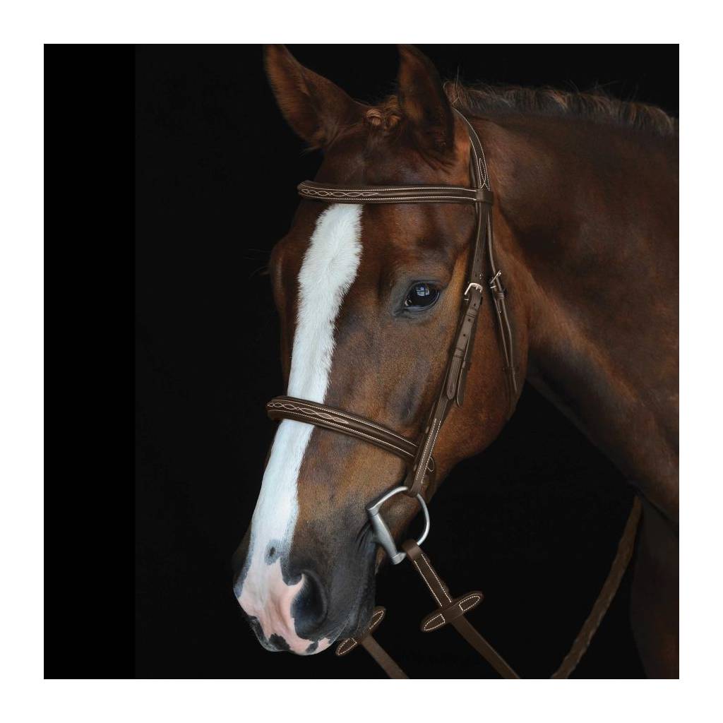 Collegiate Mono Crown Fancy Stitched Raised Cavesson Bridle