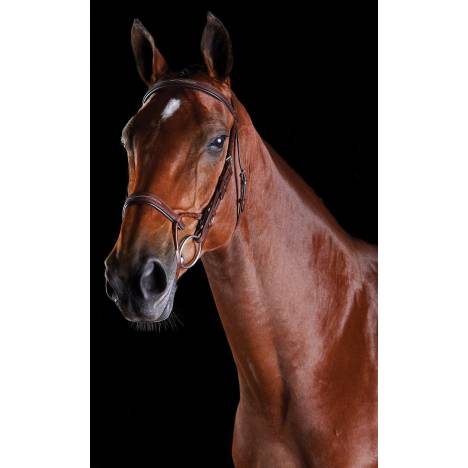 Collegiate ComFiTec Fancy Stitch Bridle