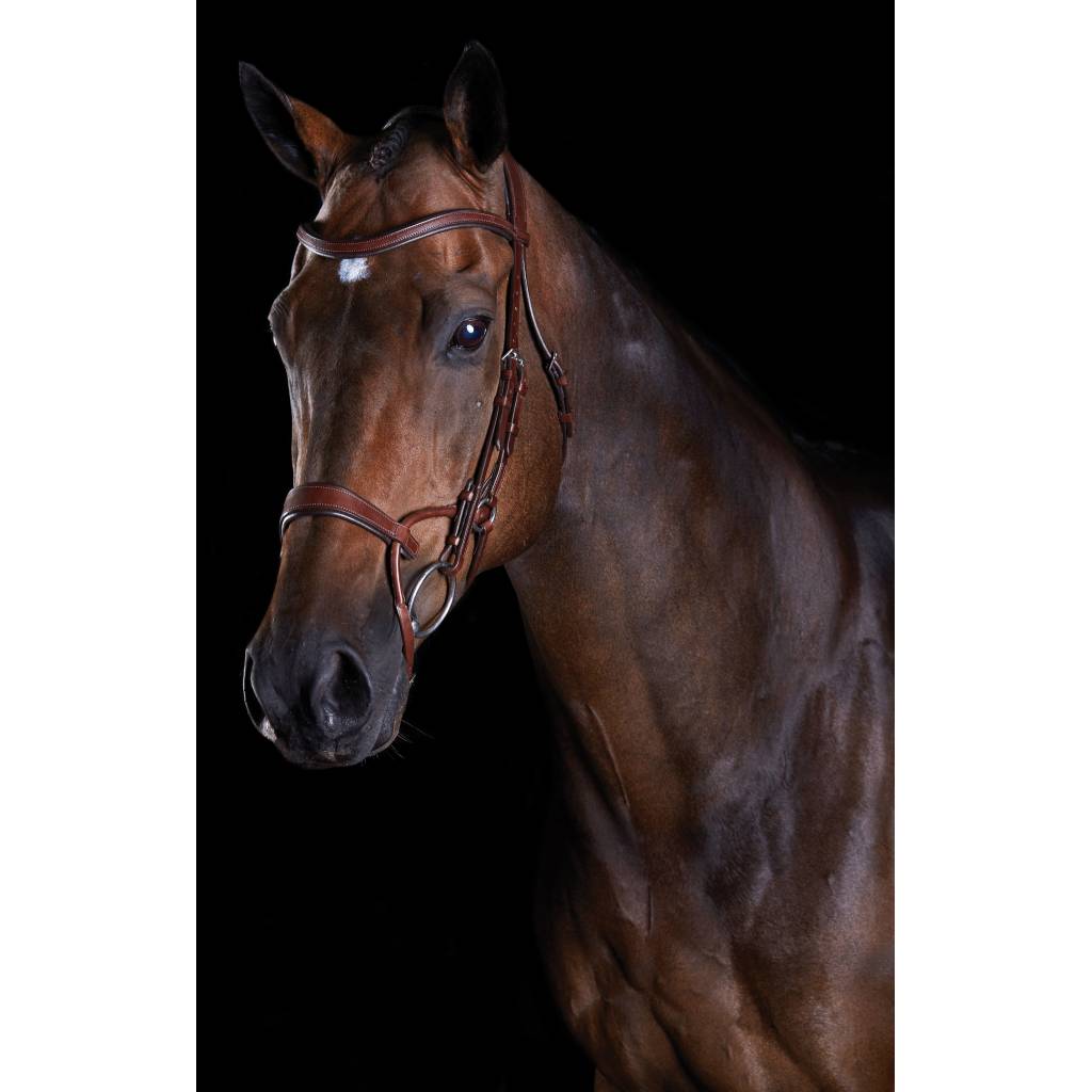 Collegiate ComFiTec Training Bridle