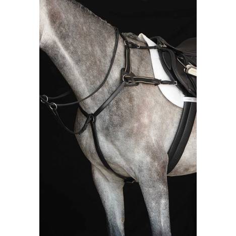 Collegiate 5-Point Breastplate IV