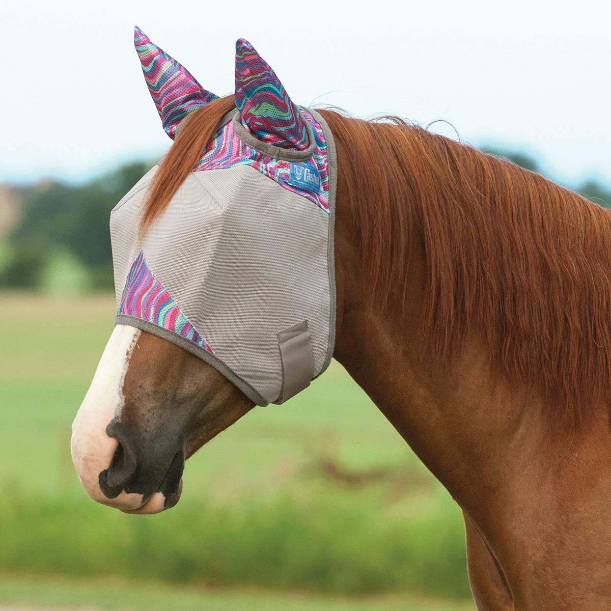 Cashel Fly Mask with Ears - Magenta Marble