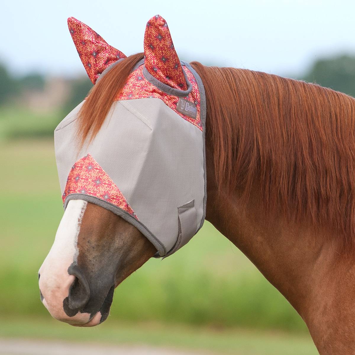 5-945681 Cashel Fly Mask with Ears - Mango Flash sku 5-945681