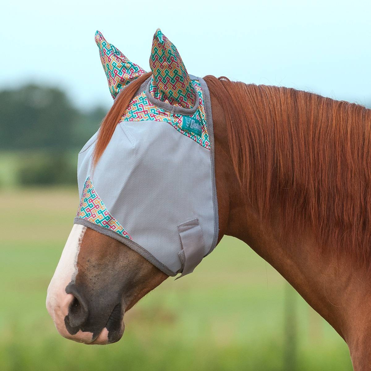 5-945683 Cashel Fly Mask with Ears - Mint Maze sku 5-945683