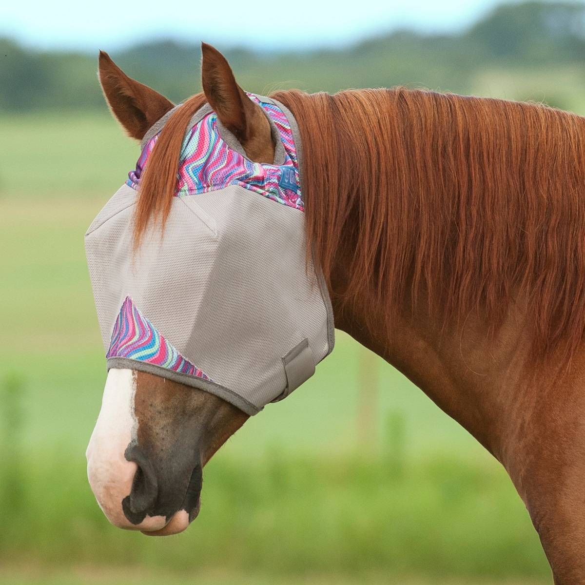 Cashel Fly Mask - Magenta Marble