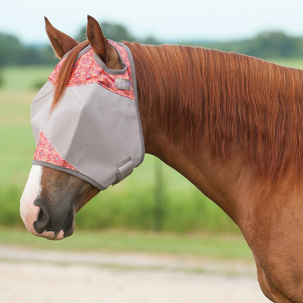 5-945690 Cashel Fly Mask - Mango Flash sku 5-945690