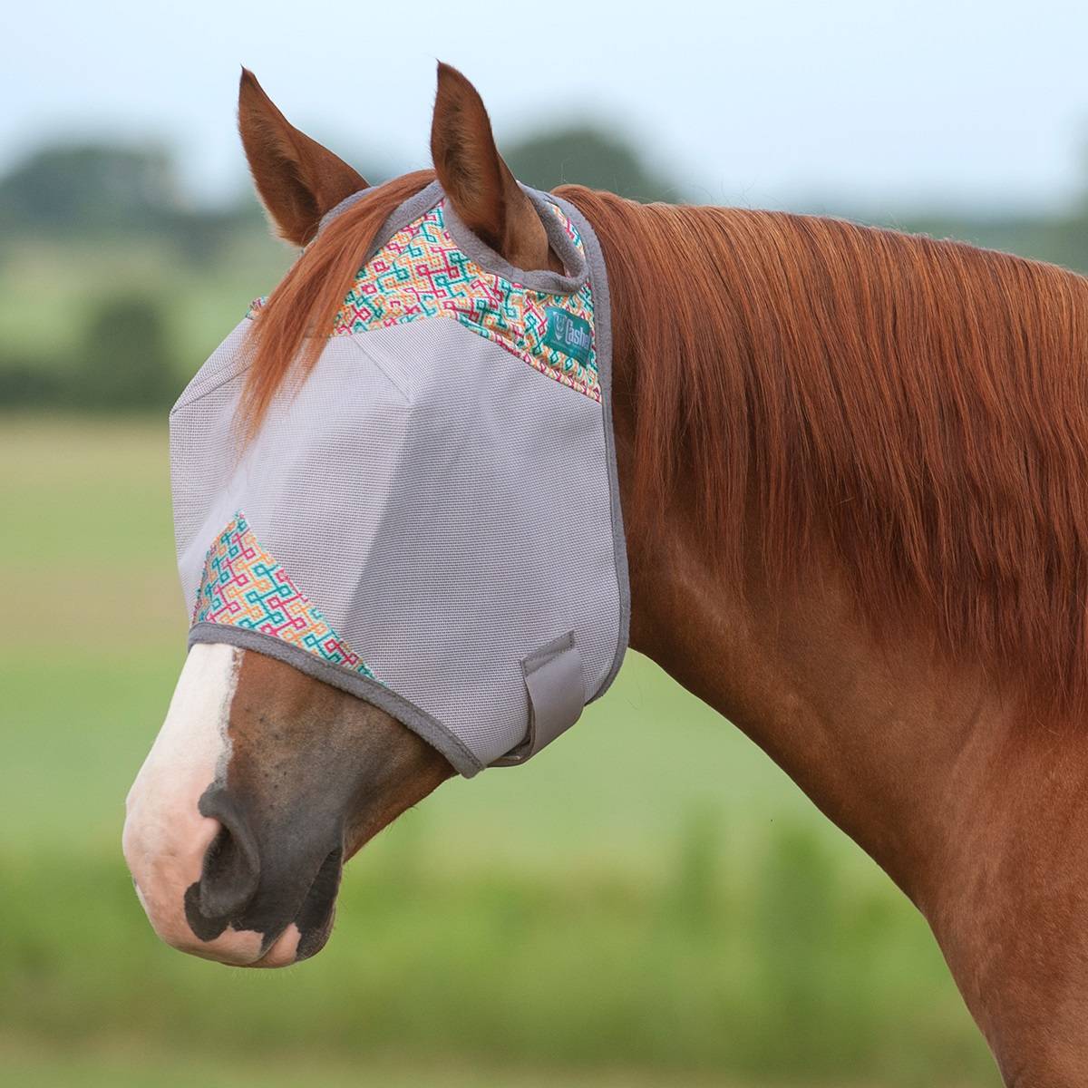 5-945692 Cashel Fly Mask - Mint Maze sku 5-945692