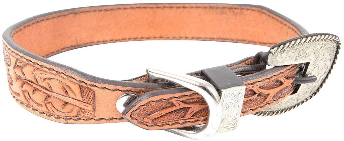 Cashel Dog Collar - Acorn Leaf