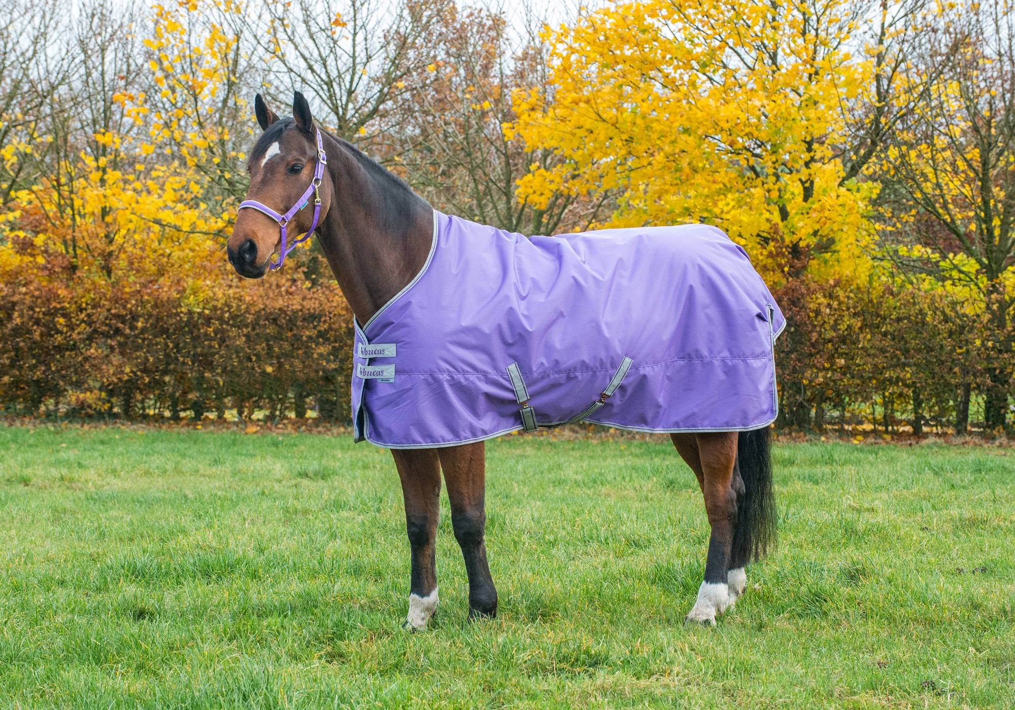 5-947737 Bucas Freedom Medium Turnout sku 5-947737