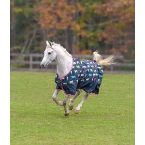 Shires Tempest Original 200