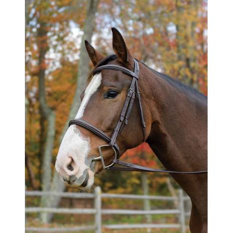 Shires Avignon Nashville Bridle