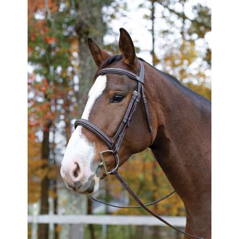 Shires Avignon Ocala Bridle