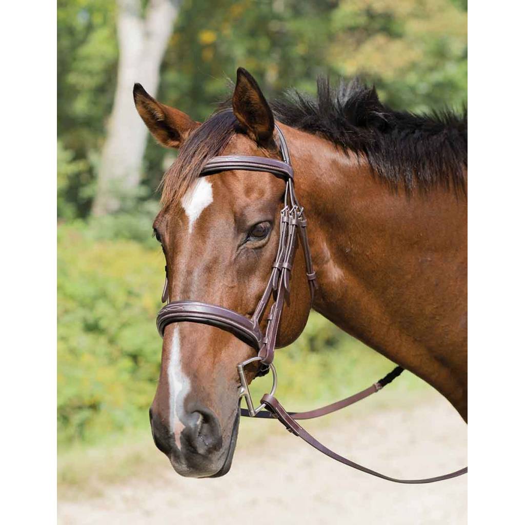 Shires Avignon Wellington Bridle