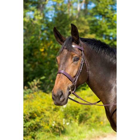 Shires Avignon Middleburg Bridle