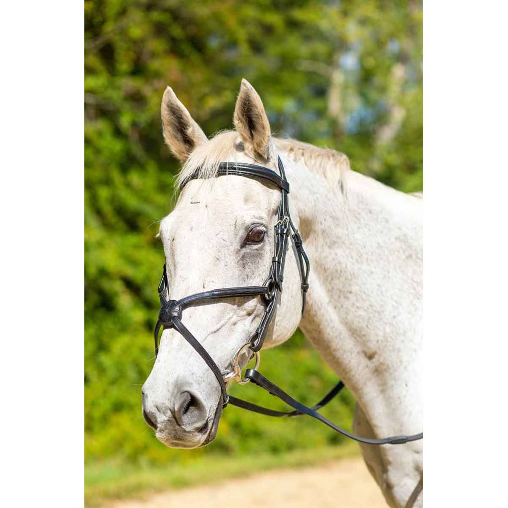 Shires Avignon Woodside Figure 8 Bridle