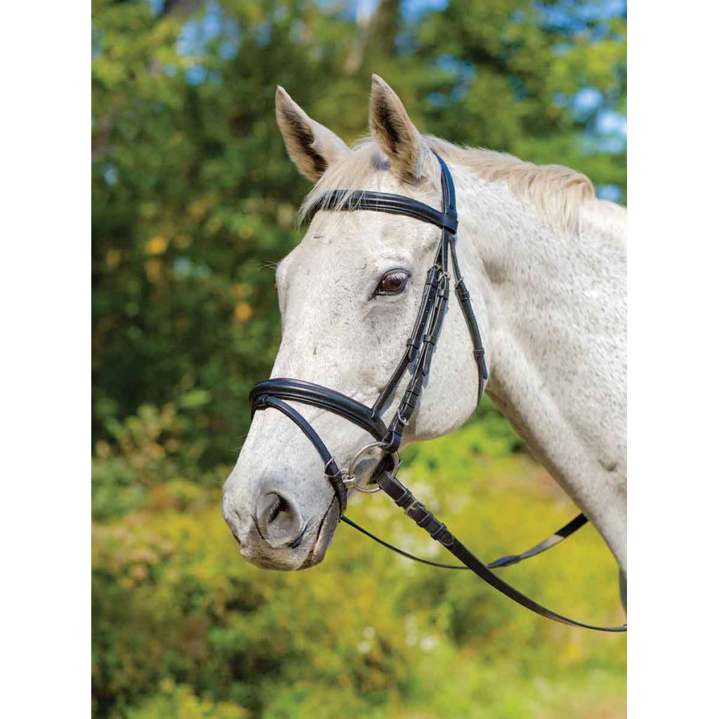 Shires Avignon Louisville Flash Bridle