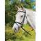 Shires Avignon Louisville Flash Bridle