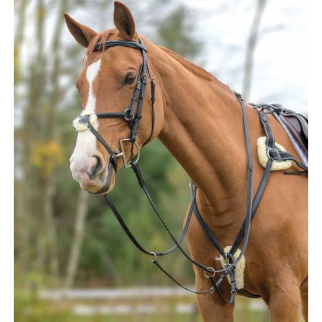 Shires Avignon Five Point Breastplate