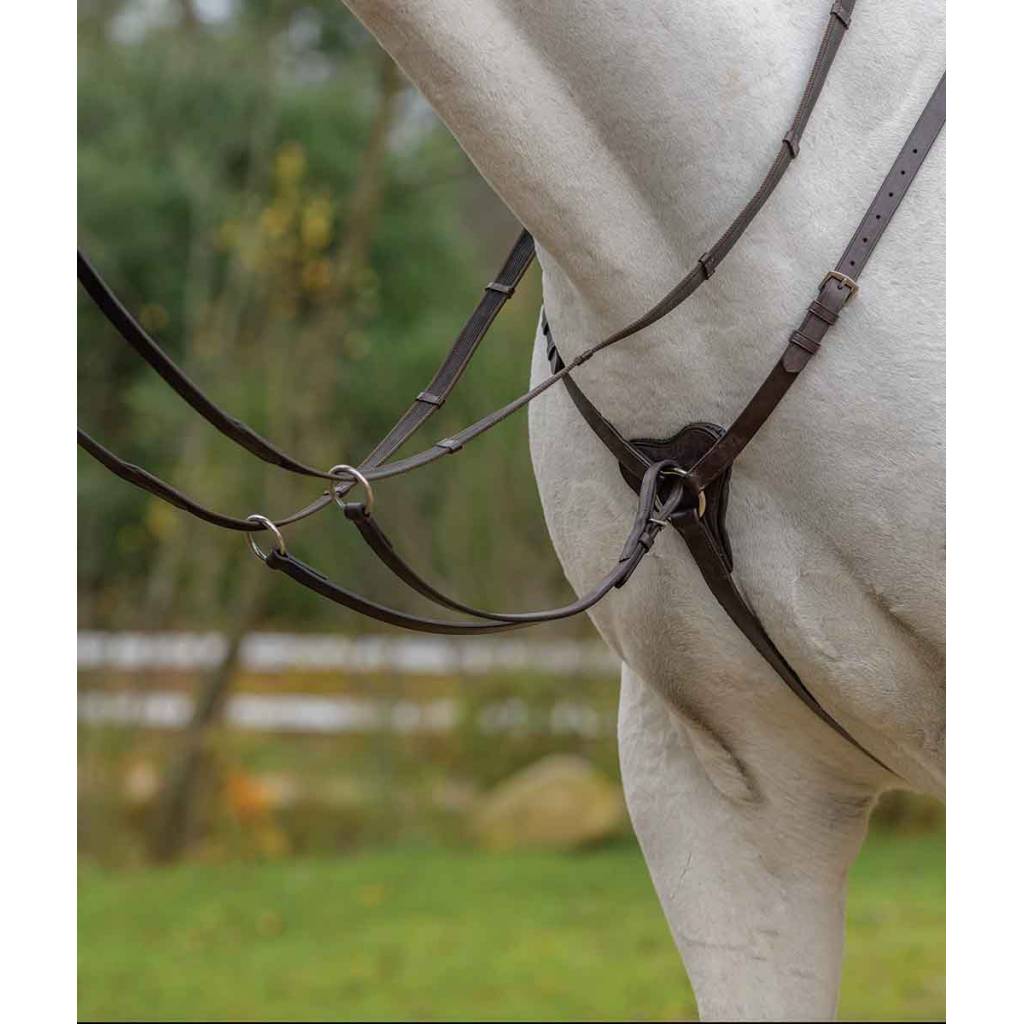 Shires Avignon Three Point Breastplate