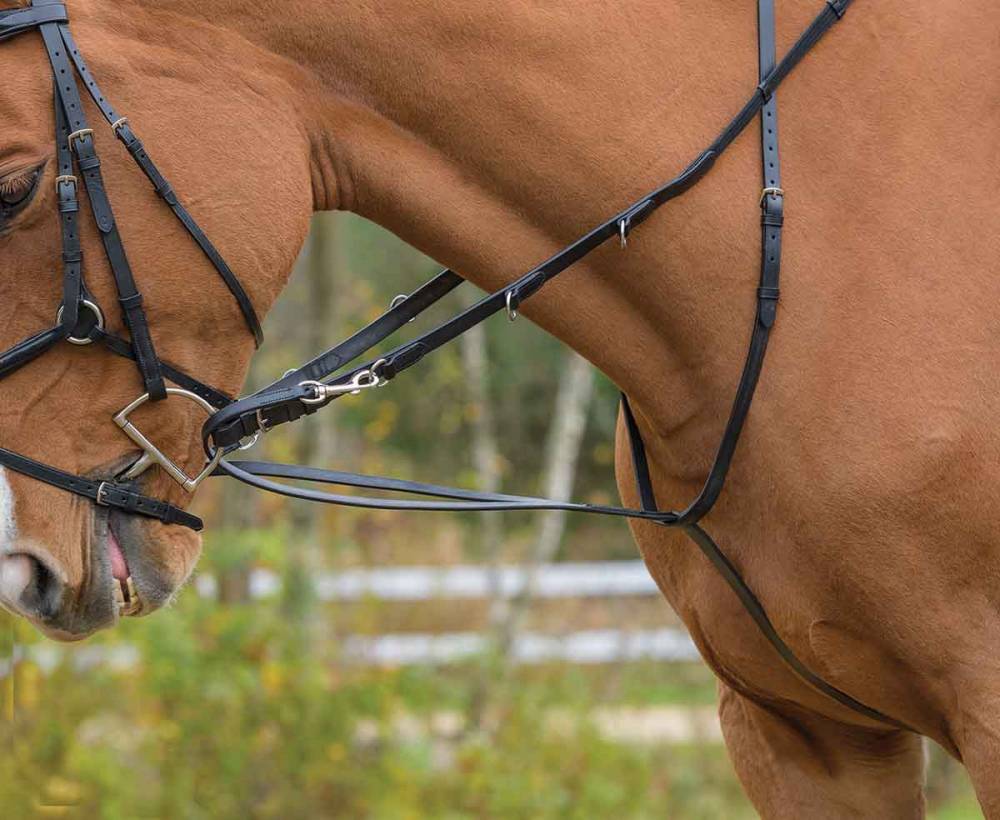 Shires Avignon German Martingale | EquestrianCollections