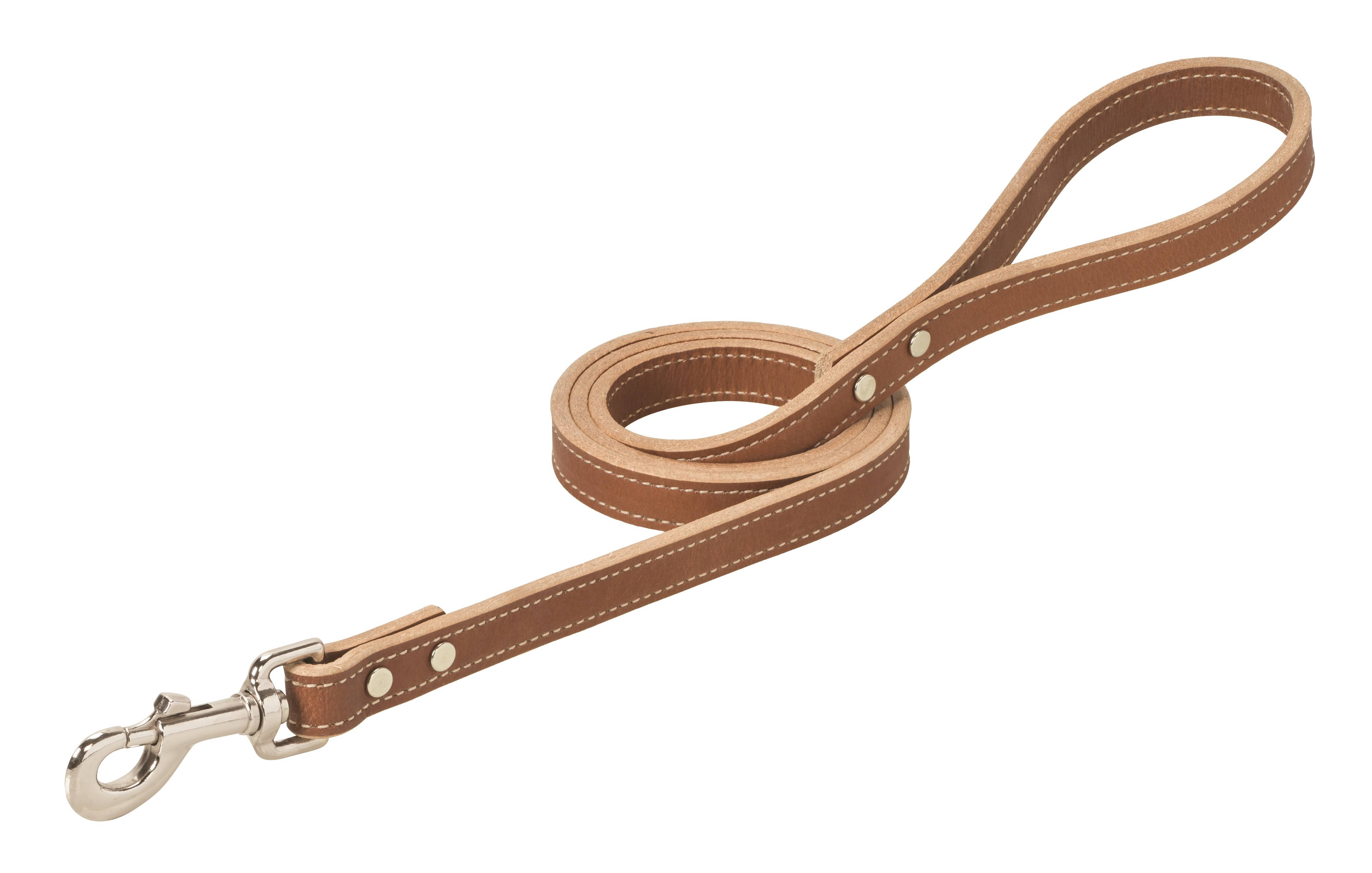 Weaver Single-Ply Leather Dog Leash