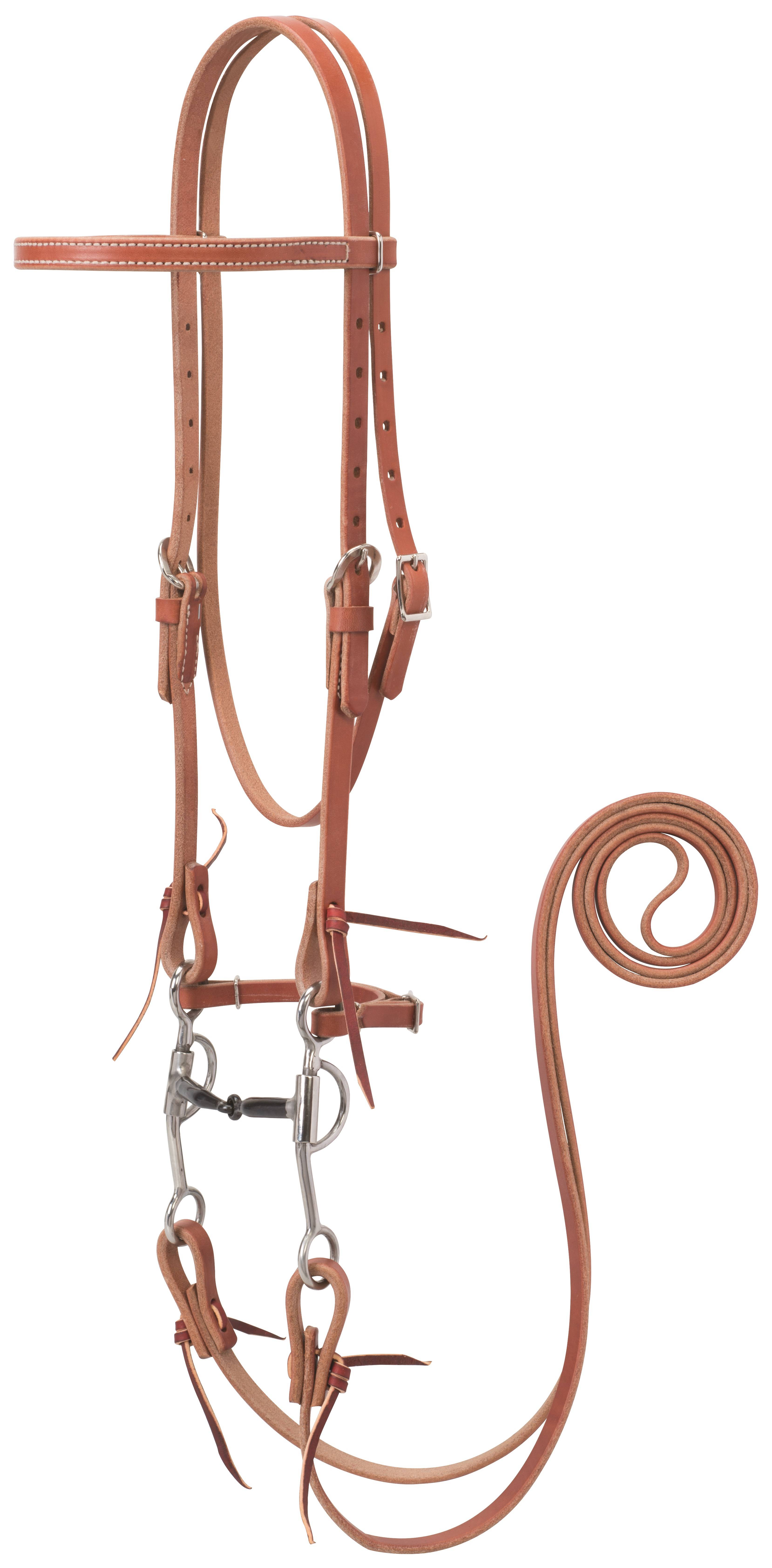 Weaver Harness Leather Bridle - All Purpose Bit, Canyon Rose