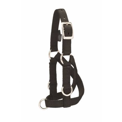 Weaver Sheep & Goat Training Halter