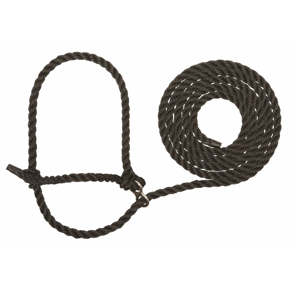 Weaver Extra Long Breaking Halter