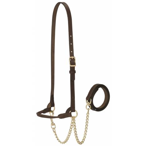 Weaver Dairy Halter