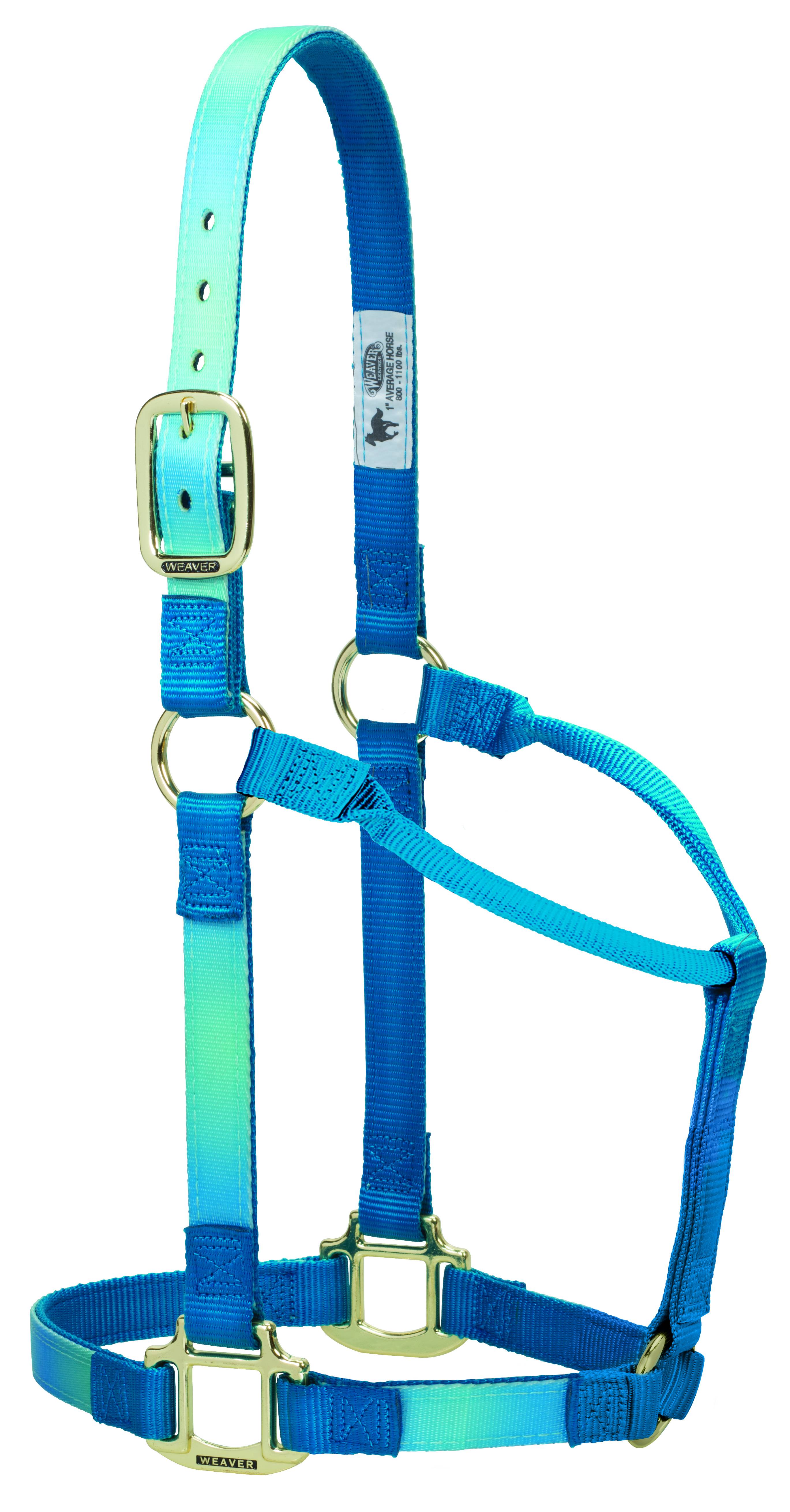 Weaver Nylon Ombre Non-Adjustable Horse Halter