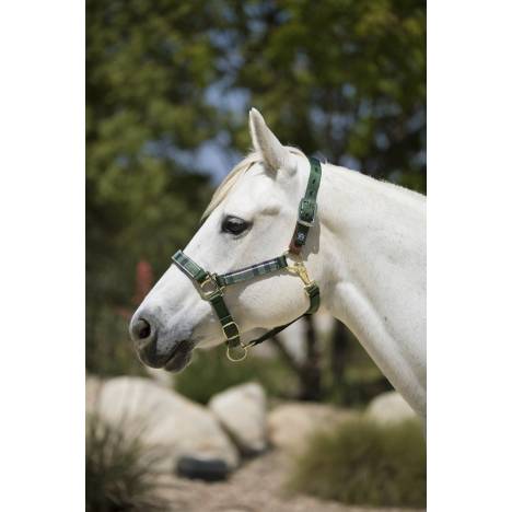 Kensington Premium Breakaway Halter