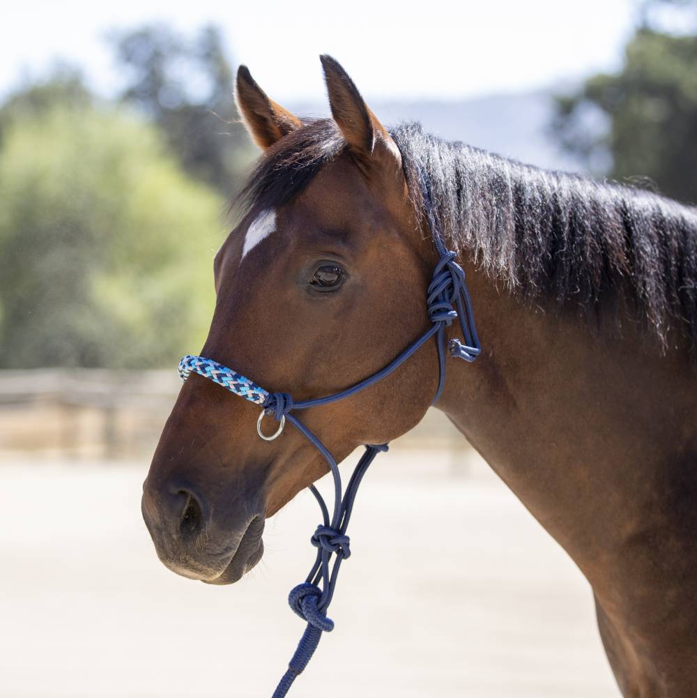 Kensington Rope Halter/Side Pull EquestrianCollections