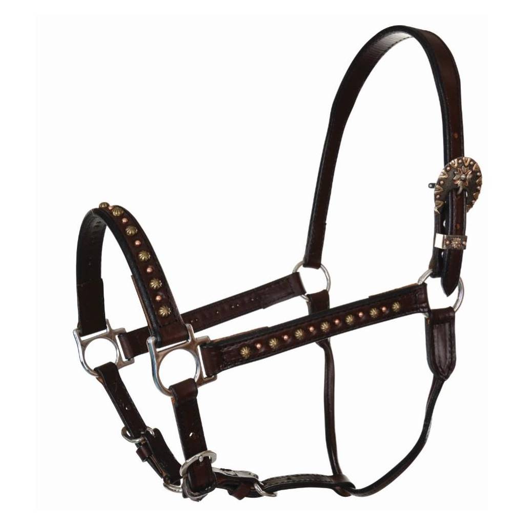 Circle Y Antique Spots Halter