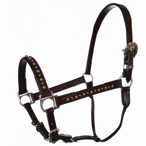 Circle Y Antique Spots Halter