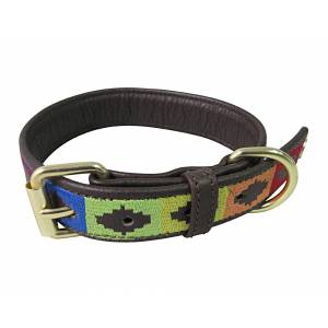 Halo Rainbow Leather Dog Collar