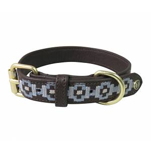 Halo Cam Leather Dog Collar