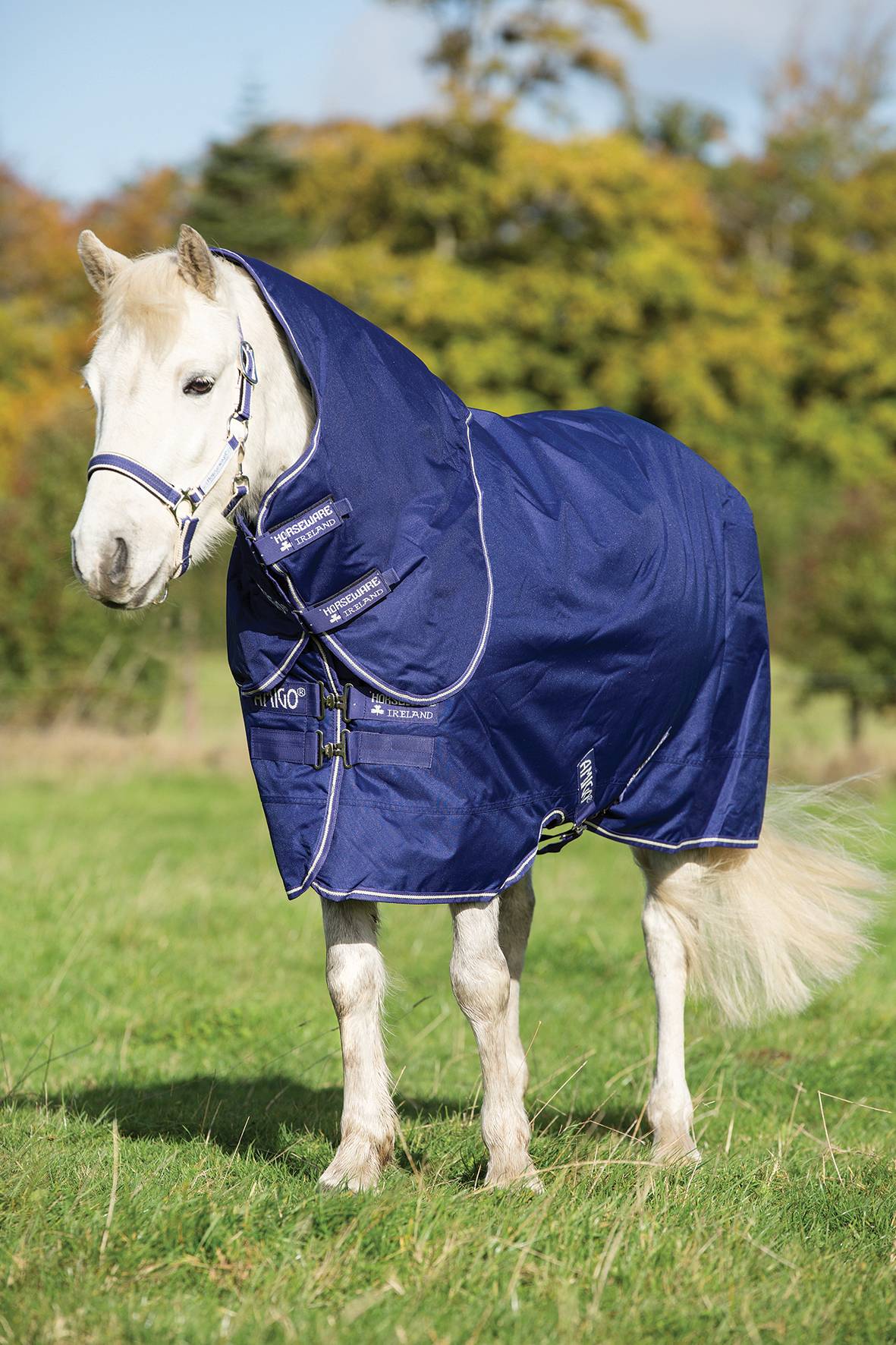 Amigo Hero ACY Pony Plus Turnout Medium