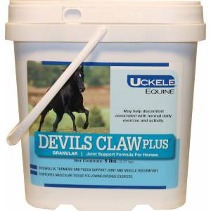 Devils Claw Plus Powder