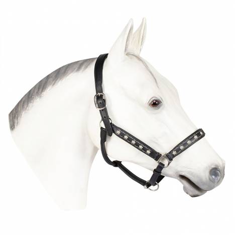 Henri De Rivel Royal Embroidered Leather Halter