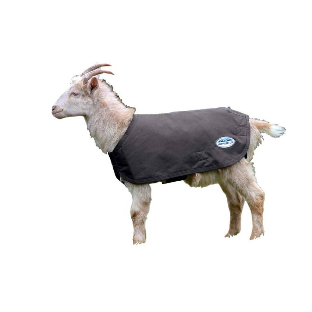 Weatherbeeta Deluxe Goat Coat