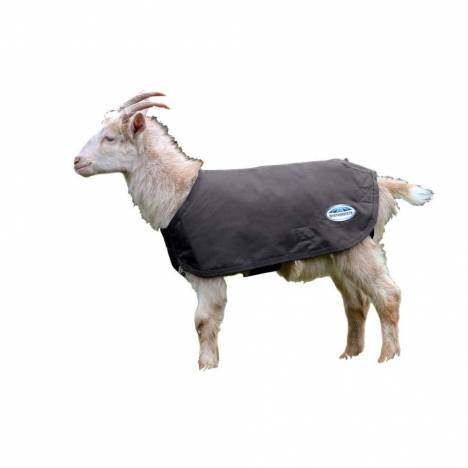 Weatherbeeta Deluxe Goat Coat