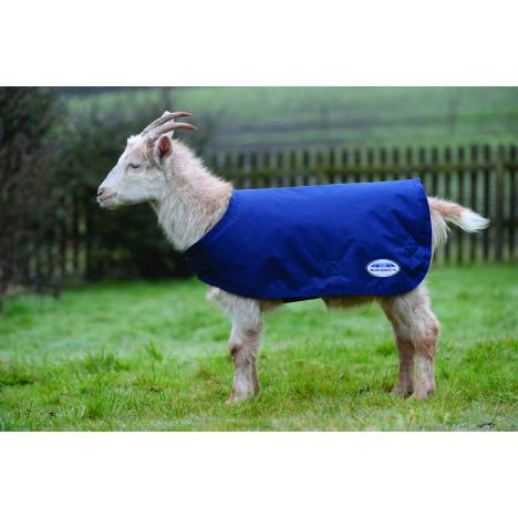 Weatherbeeta Goat Coat