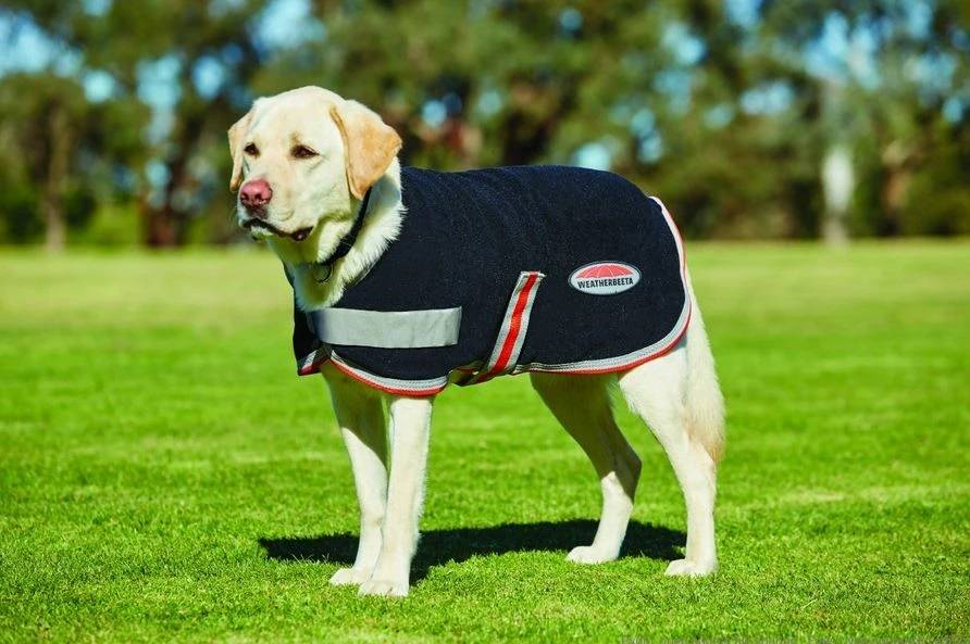 Weatherbeeta fleece hotsell dog coat