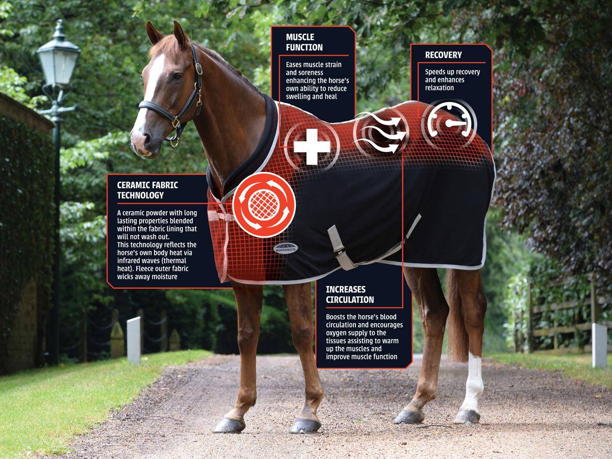 Weatherbeeta Therapy-Tec Standard Neck Increase Horse muscle function Assists re 