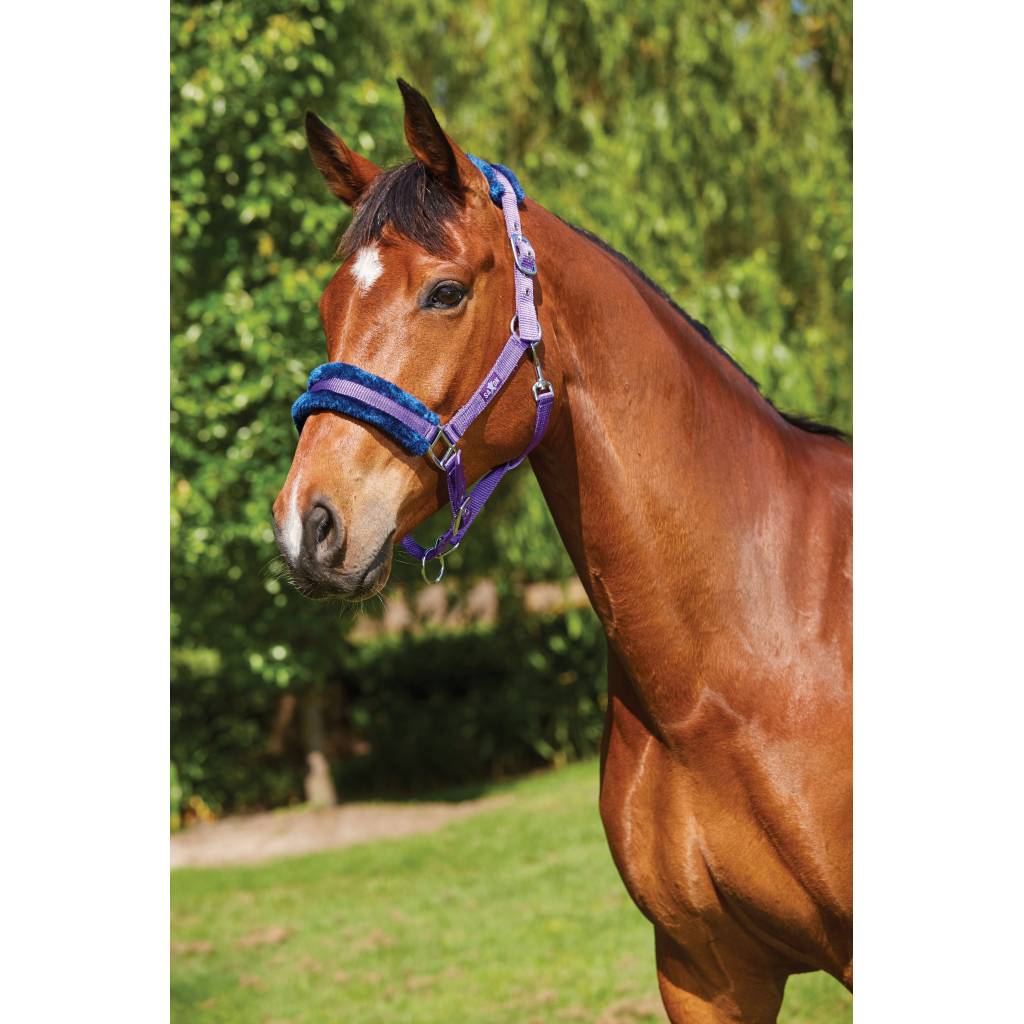 Saxon Element Fleece Headcollar