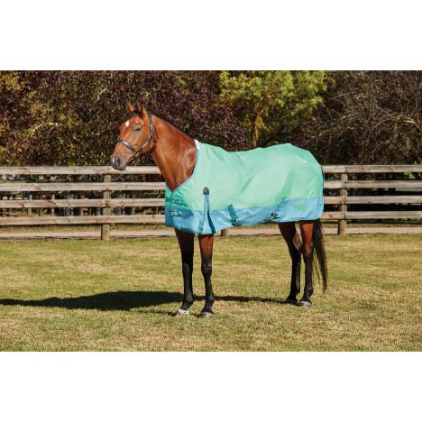 Saxon 1200D Standard Neck Turnout Blanket With Gusset ll-Lite