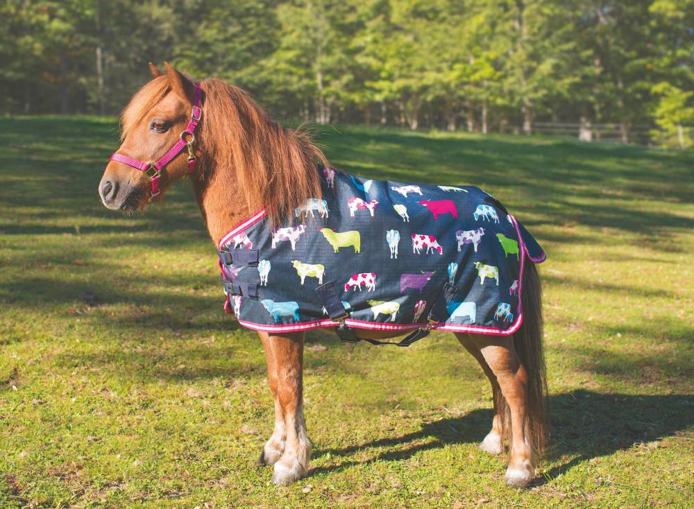 Shires Miniature Winter Highlander 200g Turnout Blanket Cow